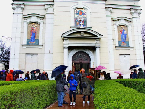 IMG_8789_resize_resize