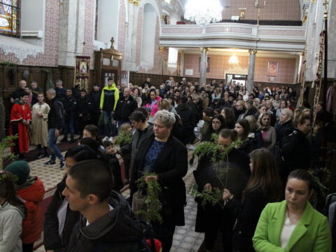 IMG_8801_resize_resize