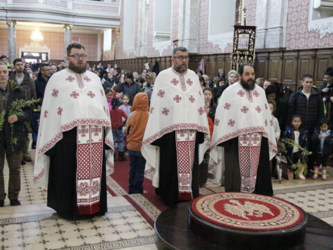 IMG_8814_resize_resize