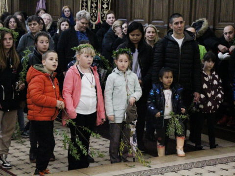 IMG_8815_resize_resize