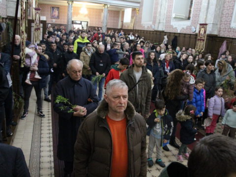 IMG_8817_resize_resize