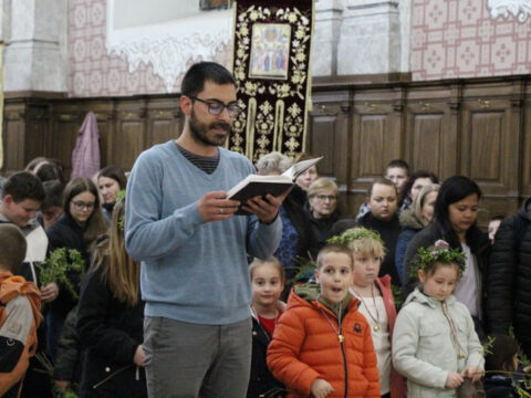 IMG_8824_resize_resize