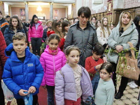 IMG_8834_resize_resize