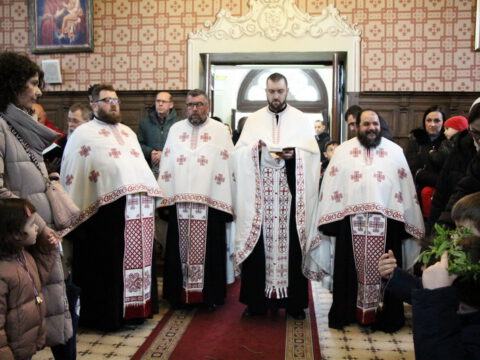 IMG_8841_resize_resize