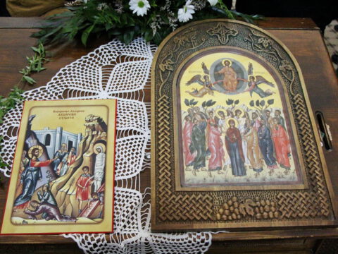 IMG_8847_resize_resize