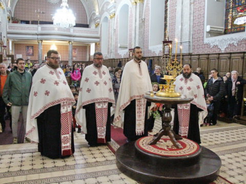 IMG_8848_resize_resize