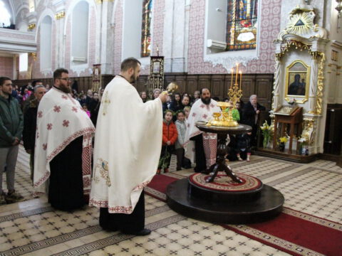 IMG_8855_resize_resize