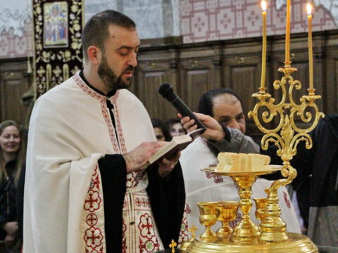 IMG_8860_resize_resize