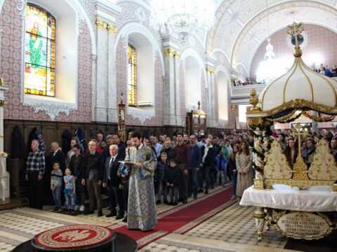 IMG_8897_resize_resize