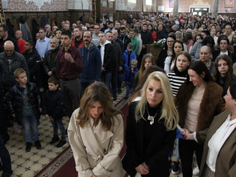 IMG_8900_resize_resize