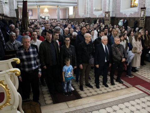 IMG_8908_resize_resize