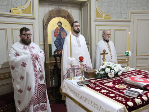 IMG_8910_resize_resize