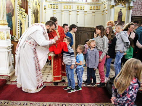 IMG_8977_resize_resize