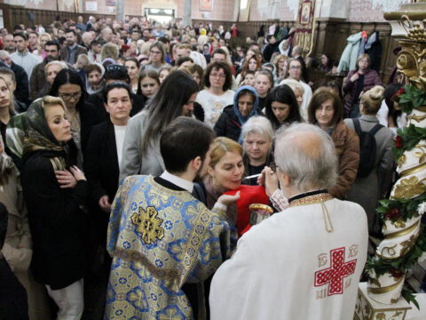 IMG_8984_resize_resize