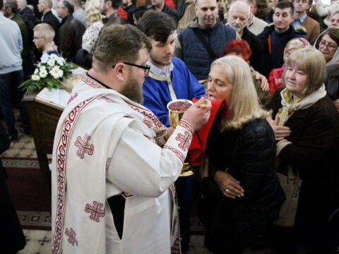 IMG_8985_resize_resize