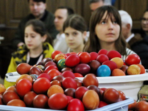 IMG_8990_resize_resize