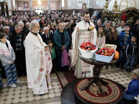 IMG_9000_resize_resize