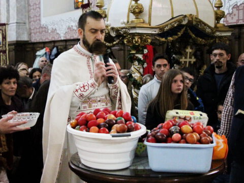 IMG_9004_resize_resize