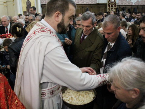 IMG_9014_resize_resize