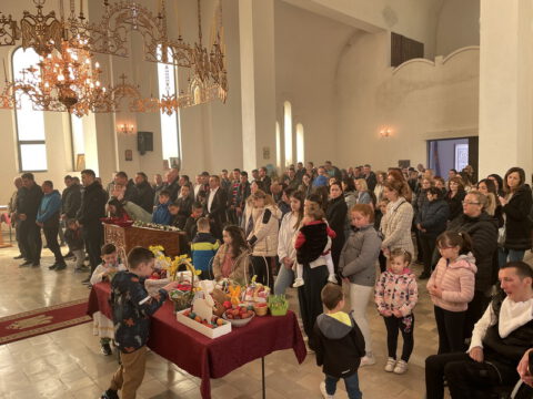 image_50448385_resize