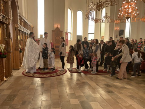 image_50733825_resize