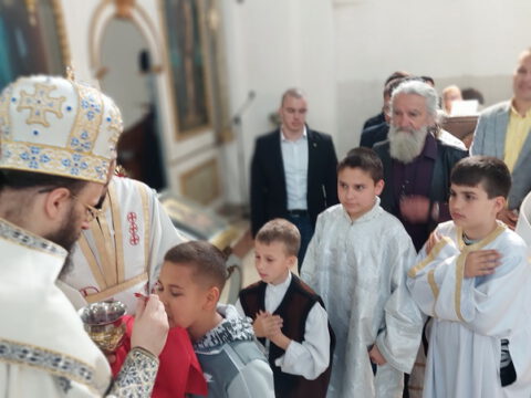 20230508_110256_resize