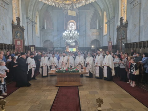 20230525_173512_resize