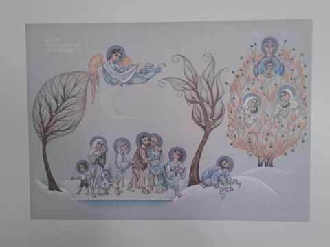 20230527_113207_resize