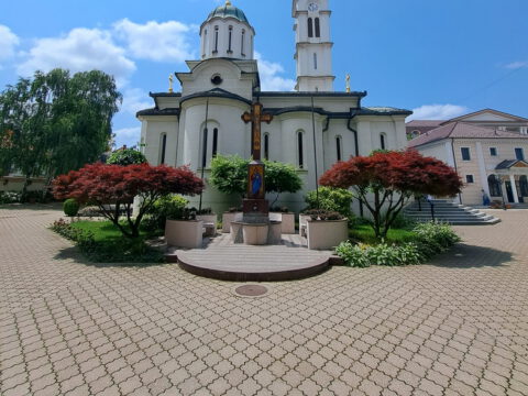 20230528_125230_resize