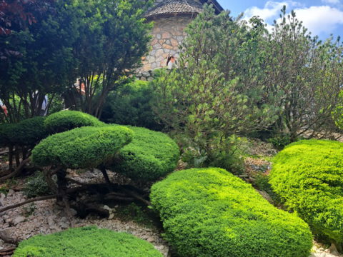 20230528_144324_resize