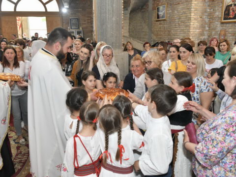 DSC_1567_resize_resize