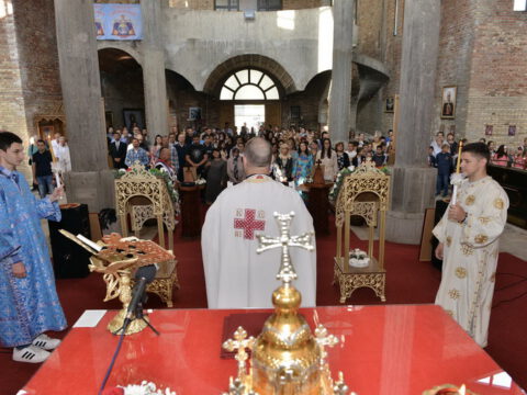 DSC_2379_resize_resize