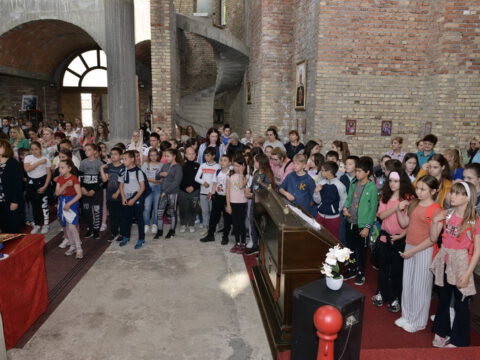 DSC_2383_resize_resize