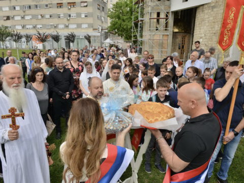 DSC_2445_resize_resize