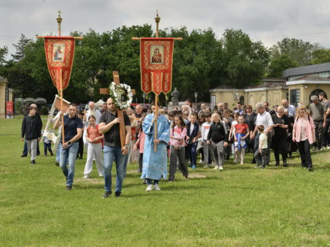 DSC_2451_resize_resize