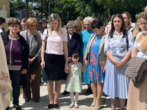 IMG-48f66a3bdc2f391180dd7e999c4f07c3-V_resize