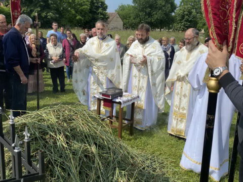 IMG-5e22a3aae19f5a07de7e49df56c26ada-V_resize