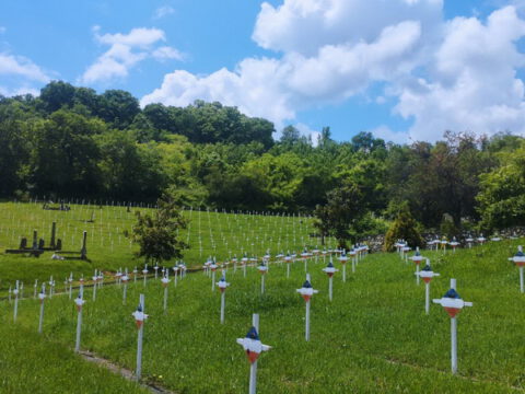 IMG-6d70f3f816d1ee7d3368aaf8bd61243e-V_resize