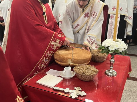 IMG-7ff6c6e00fab0627c4ba365330784852-V_resize