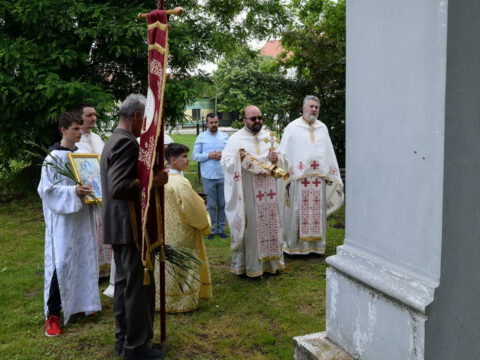 IMG-8a794c7c93bdd4df0481c4eb224754d6-V_resize