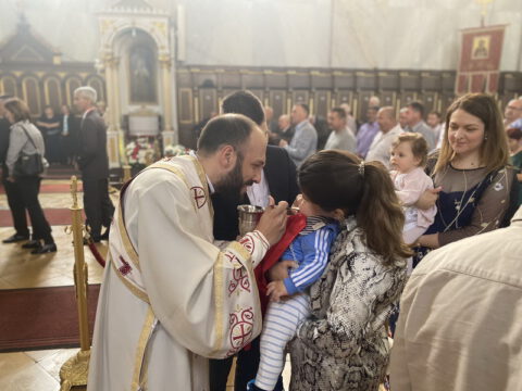 IMG-be43338be5a344a3682f0414992eed6f-V_resize