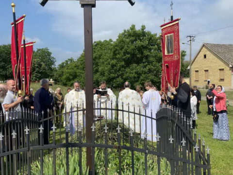 IMG-ee101018c147c8278b6cb4f3dec39ca1-V_resize