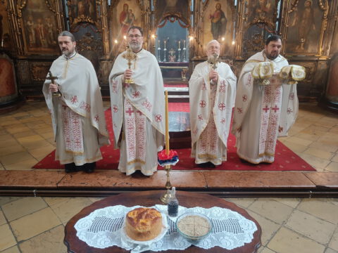 IMG20230529092943_resize