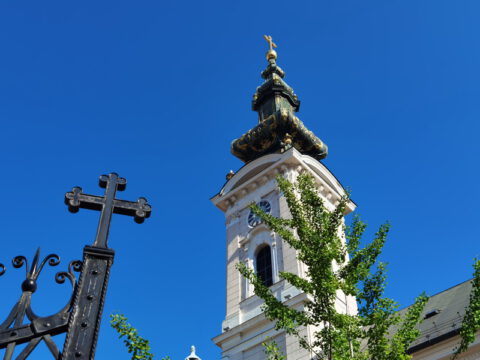 IMG_20230506_084916_resize