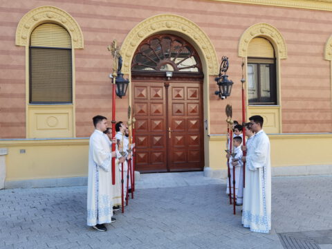 IMG_20230506_085005_resize