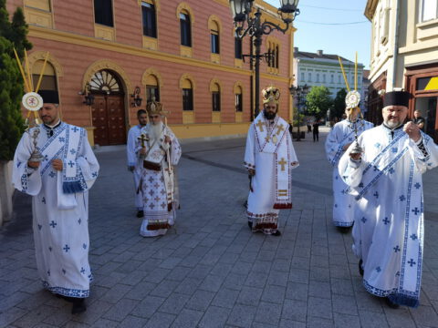 IMG_20230506_085639_resize