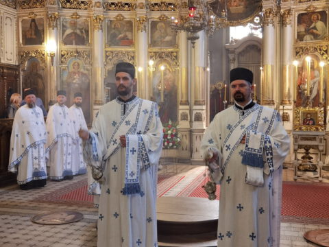 IMG_20230506_085819_resize