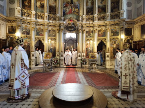 IMG_20230506_090826_resize