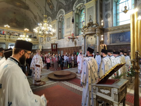 IMG_20230506_091024_resize