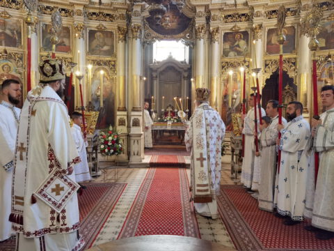 IMG_20230506_092823_resize